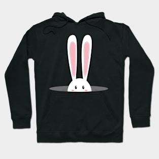 Bunny - Rabbit Hoodie